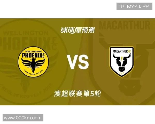 惠灵顿凤凰与悉尼FC历史交锋回顾与战绩分析